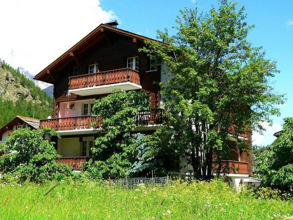 Haus Alpenperle Διαμέρισμα Saas-Almagell Εξωτερικό φωτογραφία