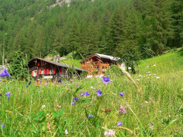 Haus Alpenperle Διαμέρισμα Saas-Almagell Εξωτερικό φωτογραφία